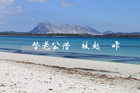 替老公借錢被起訴咋辦(幫老公借錢)