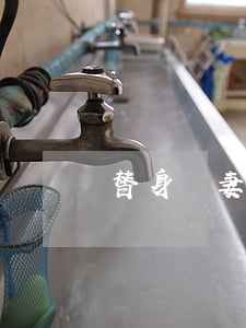 替身嬌妻離婚
