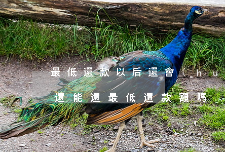 最低還款以后還會(huì)逾期嗎(逾期了還能還最低還款額嗎)