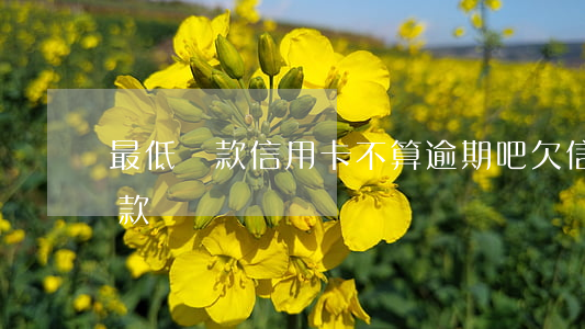 最低還款信用卡不算逾期吧(欠信用卡最低還款)