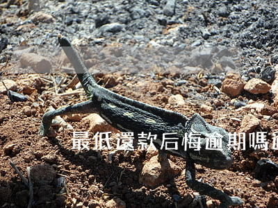 最低還款后悔逾期嗎(逾期了還能最低還款嗎)