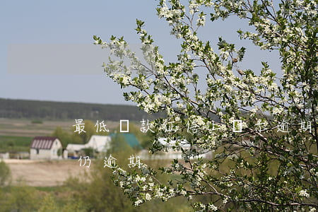 最低還款征信上顯示逾期(欠款還了征信顯示仍逾期)