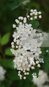 最低還款未逾期能再辦信用卡嗎(把信用卡最低還款還了還算逾期嗎)