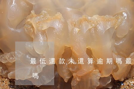 最低還款未還算逾期嗎(最低還款未還算逾期嗎)