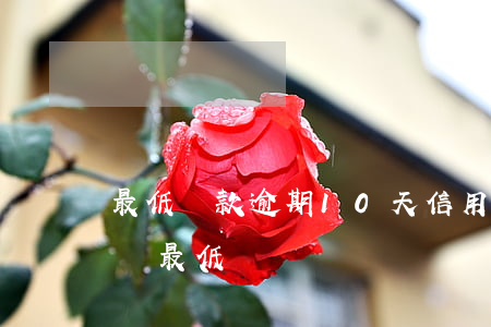 最低還款逾期10天(信用卡逾期10天還能還最低嗎)