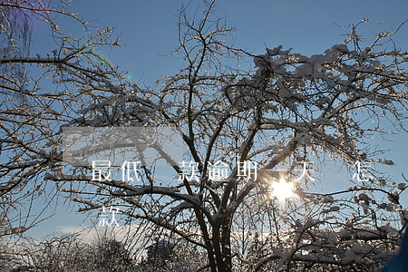 最低還款逾期一天會怎樣(逾期一天后最低還款)