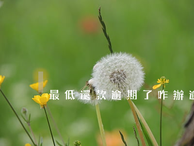 最低還款逾期了咋辦(逾期了還能最低還款嗎)