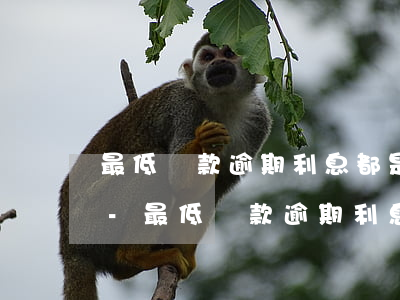 最低還款逾期利息都是全額計(jì)算的-最低還款逾期利息都是全額計(jì)算的嗎