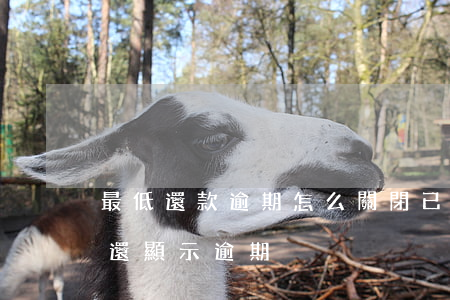 最低還款逾期怎么關閉(已經最低還款了怎么還顯示逾期)