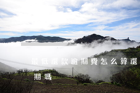 最低還款逾期費怎么算(還了最低還款額算逾期嗎)