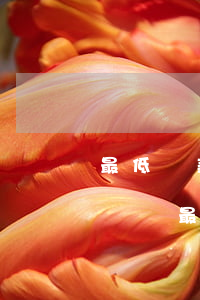 最低還款額也無力償還怎么辦，無能為力：無法償還最低還款額的應(yīng)對策略