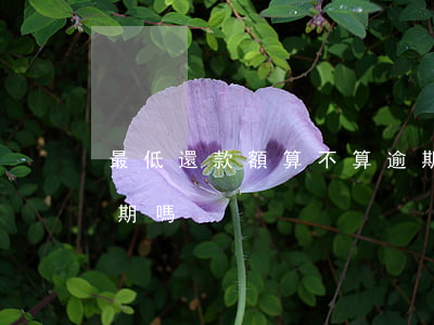 最低還款額算不算逾期(低于最低還款額算逾期嗎)
