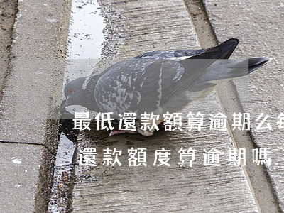最低還款額算逾期么(每個(gè)月還最低還款額度算逾期嗎)