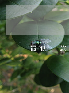 最低還款額逾期幾天(還款日最低還款算逾期嗎)