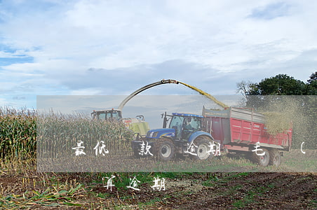 最低還款額逾期幾毛(達(dá)到最低還款額算逾期嗎)