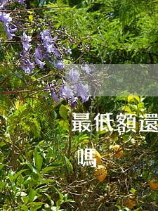 最低額還款是不是逾期(逾期最低還款額可以嗎)