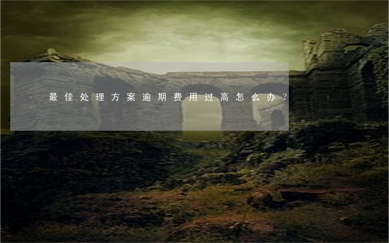 最佳处理方案：逾期费用过高怎么办？