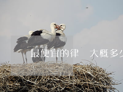 最便宜的律師大概多少錢(律師貴不貴)