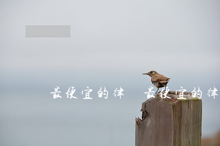 最便宜的律師(最便宜的律師大概多少錢)
