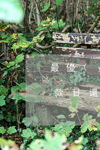 最優(yōu)還款額沒還算逾期嗎(最后還款日還最低額度算不算逾期)