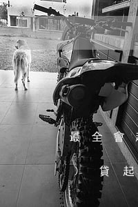 最全會起訴網(wǎng)貸(網(wǎng)貸起訴的可能性大不大)