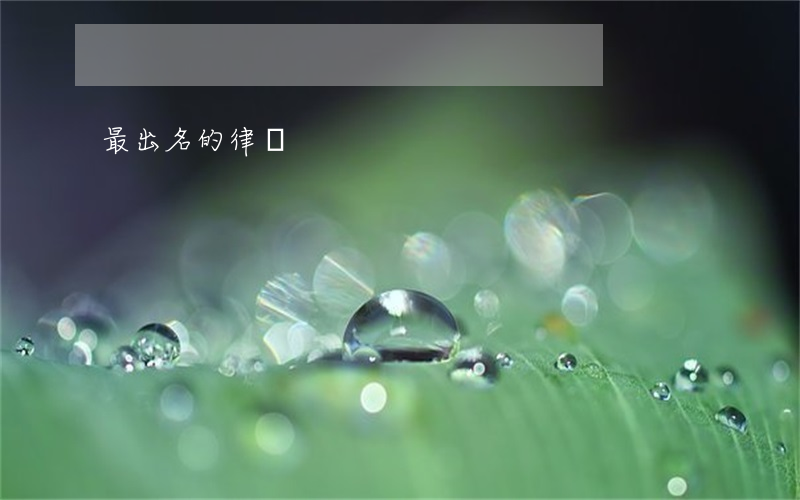 最出名的律師