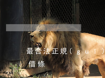 最合法正規(guī)借條范本下載(合法的借條)