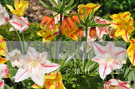 最后一座房產(chǎn)法院可以封嗎(法院封房子是什么意思)