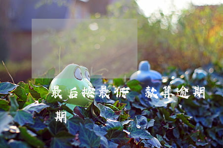 最后按最低還款算逾期嗎(最低還款以后算逾期嗎)