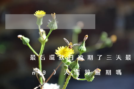 最后還款日逾期了三天(最后還款日當(dāng)天還算逾期嗎)