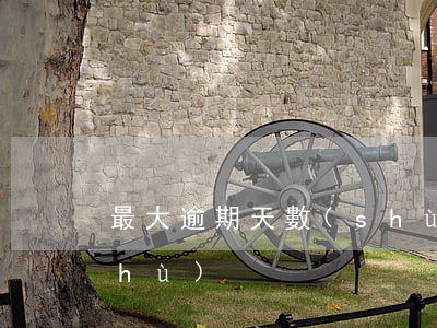 最大逾期天數(shù)(最大逾期天數(shù))