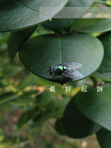 最好起訴欠錢不還的人-欠錢不還起訴什么