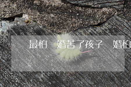最怕離婚苦了孩子(離婚怕小孩受到傷害怎么辦)