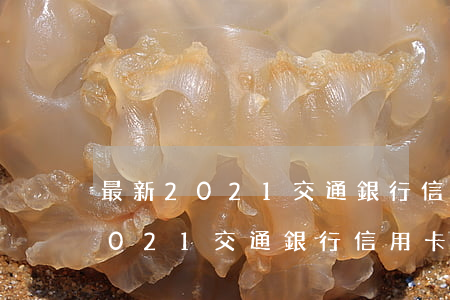 最新2021交通銀行信用卡利息-最新2021交通銀行信用卡利息多少