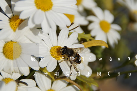 最新下款的網(wǎng)貸小額分期(額度大分期長的正規(guī)網(wǎng)貸)