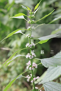 最新二手房交易稅費(fèi)
