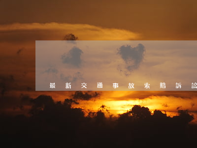最新交通事故索賠訴訟證據(jù)一覽表
