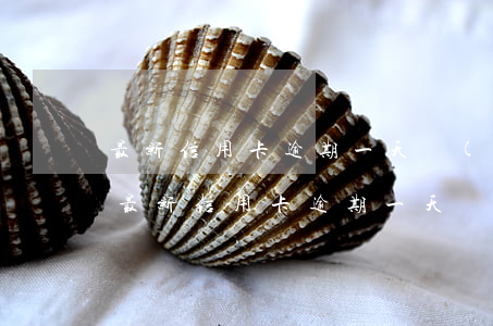 最新信用卡逾期一天會(huì)上征信嗎 最新信用卡逾期一天會(huì)上征信嗎嗎