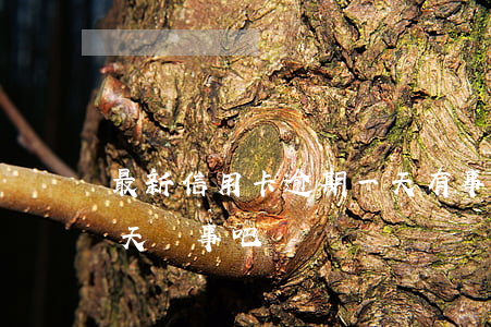 最新信用卡逾期一天有事嗎(還信用卡逾期一天沒事吧)