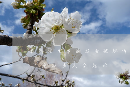 最新信用卡逾期会被起诉吗(今年新规定信用卡逾期多久会起诉)