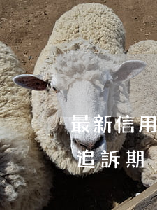 最新信用卡逾期多久起訴(信用卡逾期多久過追訴期)