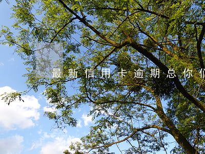 最新信用卡逾期总 你们的信用卡逾期多久了