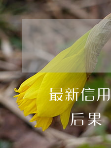 最新信用卡逾期訴訟時效(信用卡逾期民事訴訟后果)
