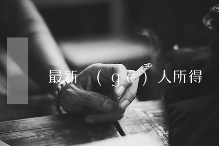最新個(gè)人所得稅