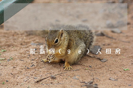 最新個(gè)人租房