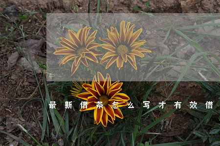 最新借条怎么写才有效(借条咋写有效)