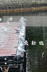 最新假錢編號(hào)(假錢編號(hào)數(shù)字)