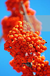 最新公司法