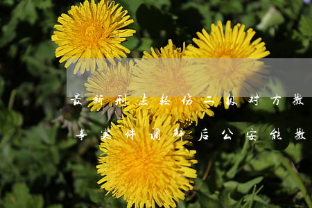 最新刑法轻伤二级对方撤诉还判刑吗(轻伤刑事案件调解后公安能撤诉吗)