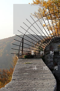 最新判例！男子醉亡，11人被訴62萬賠償金，法院：同飲者無責(zé)?。ㄎ宸N情況除外）